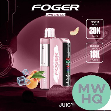 Foger Switch Pro Kit 30K Puffs 19ML Disposable Device & Power Bank - Display of 5