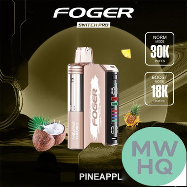 Foger Switch Pro Kit 30K Puffs 19ML Disposable Device & Power Bank - Display of 5