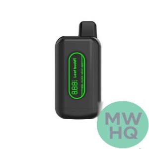 Leaf Buddi Aura Max 650mAh 510 Cartridge VV Preheat Mod Battery With Charging Cable - Display of 5