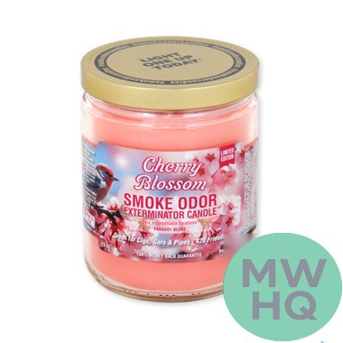 Smoke Odor Exterminator Candle - 13 oz